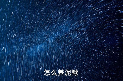 怎么养泥鳅