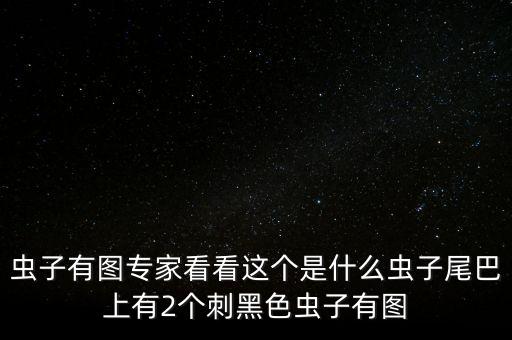 虫子有图专家看看这个是什么虫子尾巴上有2个刺黑色虫子有图