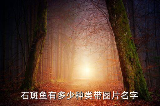 老虎斑鱼图片，石斑鱼有多少种类带图片名字