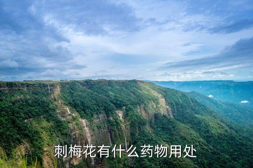刺玫花，卧室里养刺玫花有害处么