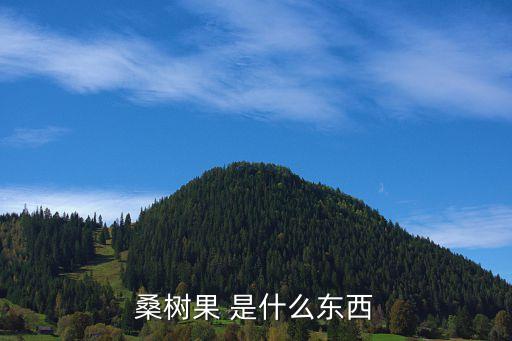 桑树果 是什么东西