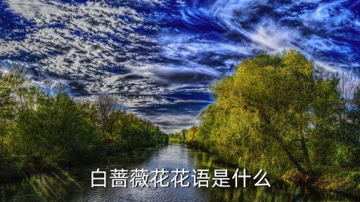 白蔷薇，白蔷薇你知道吗
