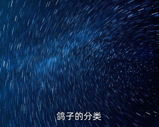 鸽子的分类