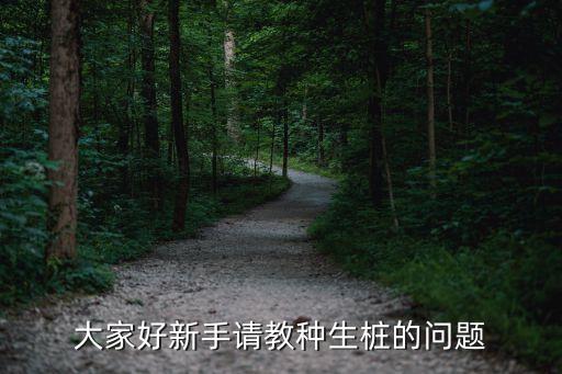生桩，大家好新手请教种生桩的问题