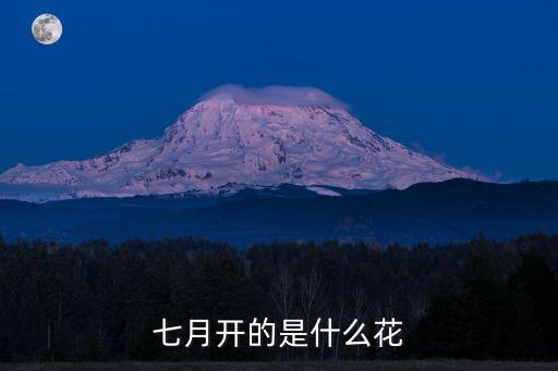 七月开什么花，七月开的是什么花