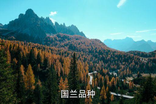 国兰有哪些品种，国兰品种
