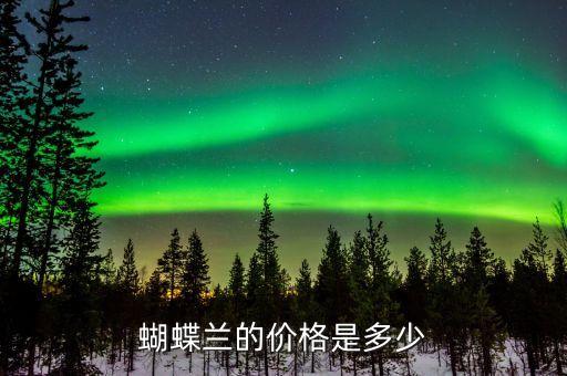 蝴蝶兰的价格是多少