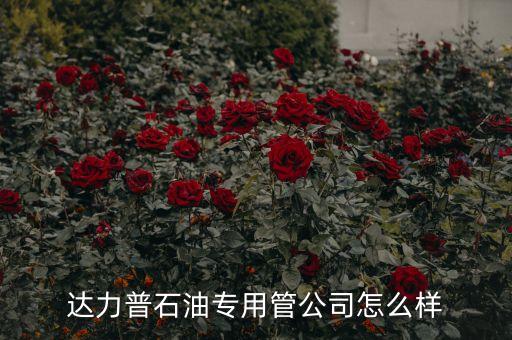 久易农业怎么样，成都四海岩土工程公司四海岩土公司怎么样有没有发展前途  搜