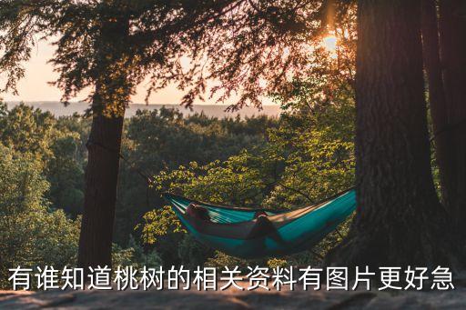 有谁知道桃树的相关资料有图片更好急