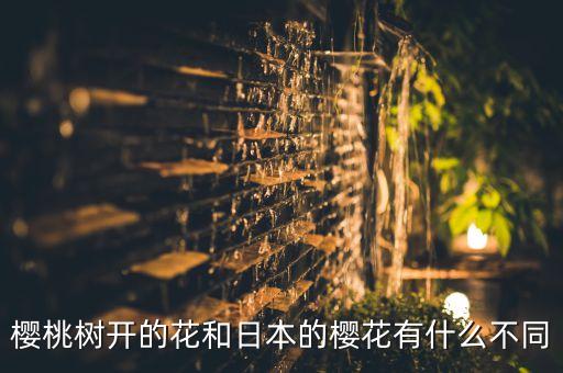 樱桃树开的花和日本的樱花有什么不同