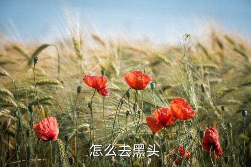 河南农业大学怎么样去黑头，怎么去黑头
