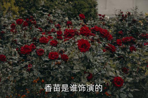 香苗，香苗是谁饰演的