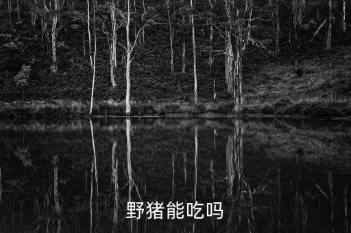 野猪能吃吗，野猪能吃么
