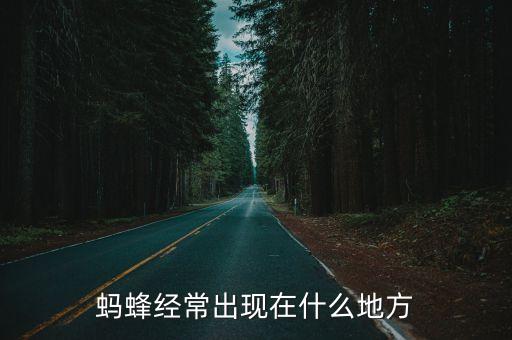 蚂蜂经常出现在什么地方