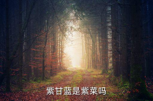 紫甘蓝是紫包菜吗，紫甘蓝在蔬菜类的吗