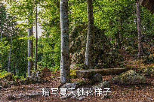 描写夏天桃花样子
