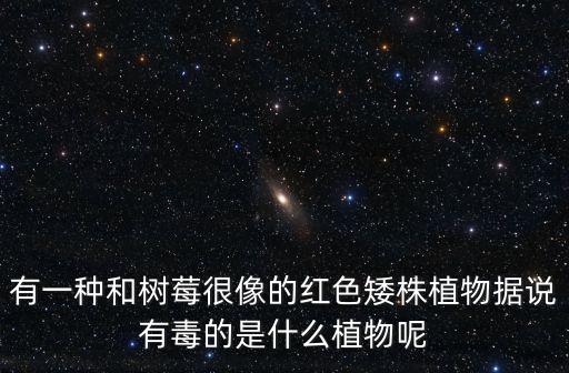 里白是什么植物，里白是什么植物