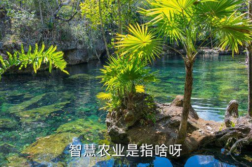 智慧农业怎么形成，智慧农业是指啥呀