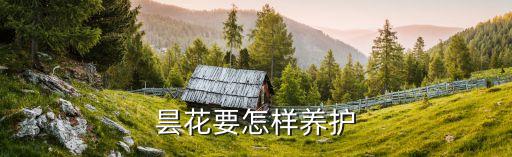 昙花要怎样养护