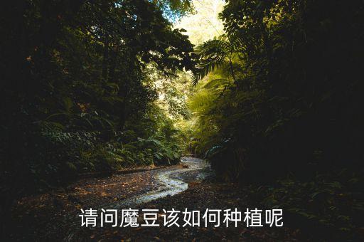 请问魔豆该如何种植呢