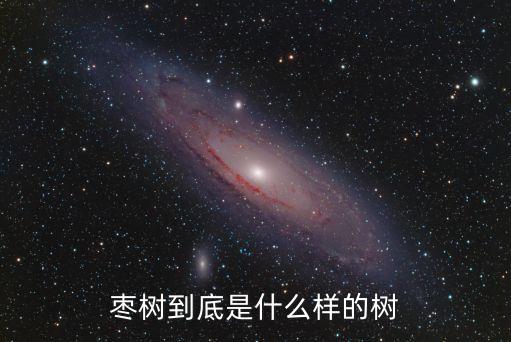 红枣树，红枣树如何防冻