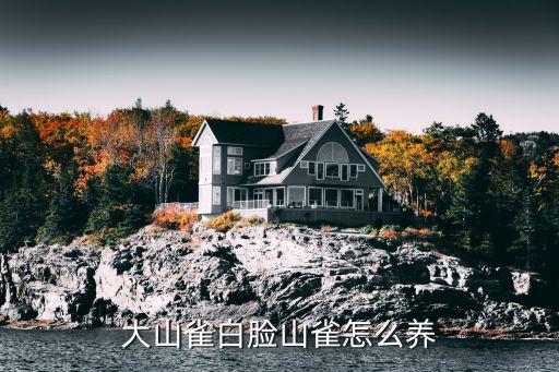 大山雀白脸山雀怎么养