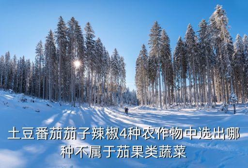 土豆番茄茄子辣椒4种农作物中选出哪种不属于茄果类蔬菜