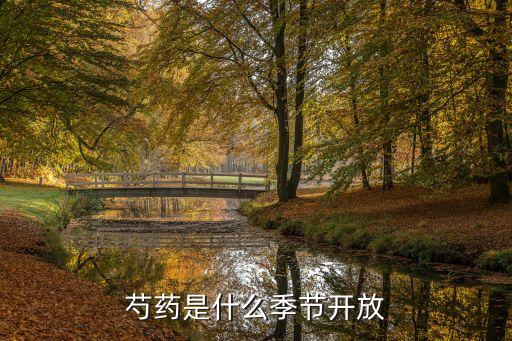 芍药什么时候开花，芍药是什么季节开放