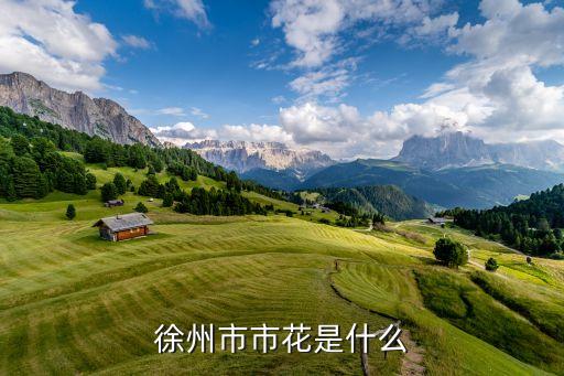 徐州市市花是什么