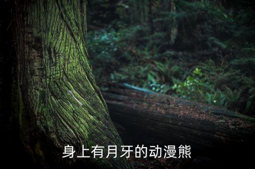 身上有月牙的动漫熊