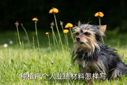 种植户个人业绩材料怎样写