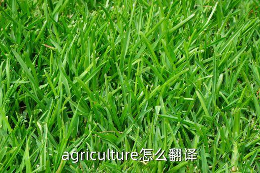 agriculture怎么翻译