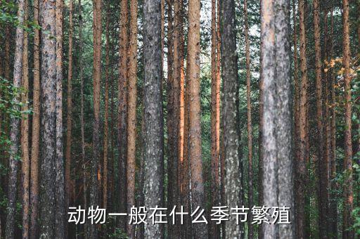 动物一般在什么季节繁殖