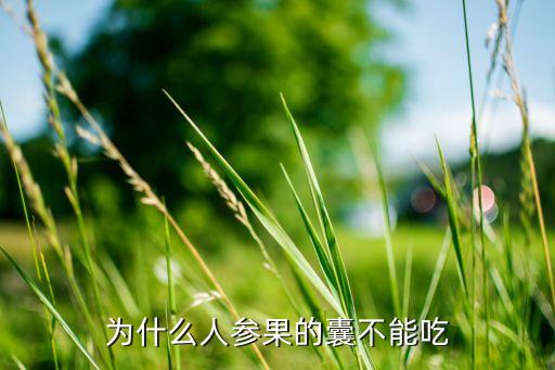 为什么人参果的囊不能吃