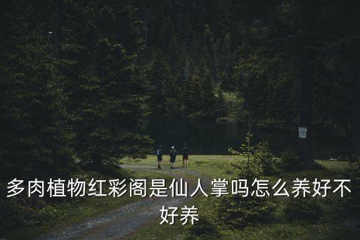 多肉植物红彩阁是仙人掌吗怎么养好不好养