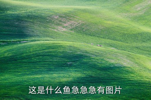 牛港鲹，钓到牛港为什么扔掉