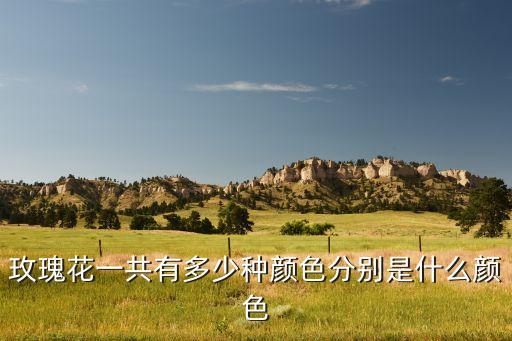 玫瑰花一共有多少种颜色分别是什么颜色