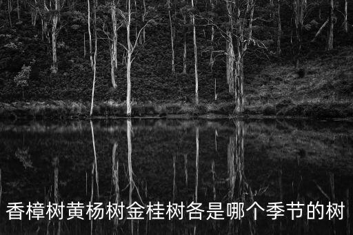 香樟树黄杨树金桂树各是哪个季节的树