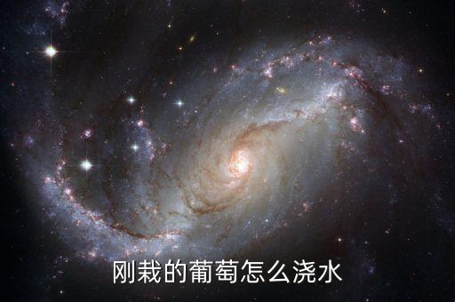 葡萄浇水顺口溜，怎样为葡萄苗浇水