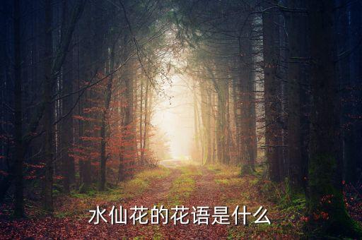 水仙花的花语是什么