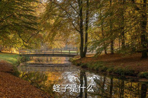 荏子，苤子是什么意思