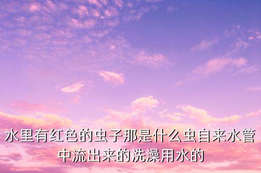 红色的虫子，一种红色的昆虫六条腿红背上百点黑点交错腿的末端是白色的