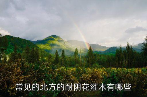 常见的北方的耐阴花灌木有哪些