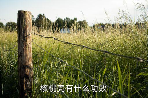 核桃壳，核桃的壳有什么用处