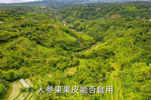 人参果皮可以吃吗，请问人参果的皮和籽可以直接吃不