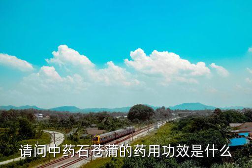 请问中药石苍蒲的药用功效是什么