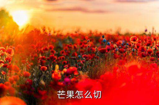 芒果切法，芒果怎么切