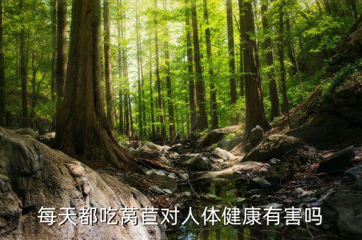 莴苣的功效，莴苣叶子的作用