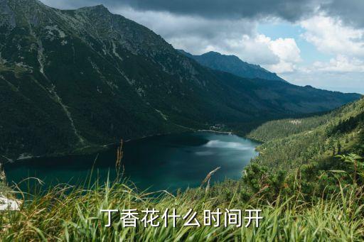 丁香花什么时间开