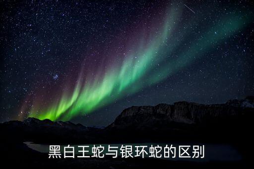 黑白王蛇，黑白王有毒的么